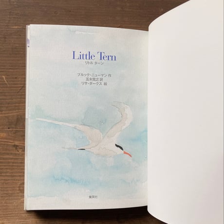 リトル ターン Little Tern／ブルック・ニューマン　リサ・ダークス