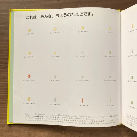ずかんライブラリー ちょう／大島進一