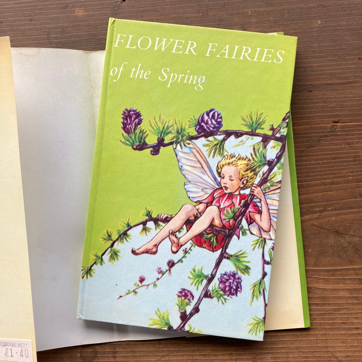 FLOWER FAIRIES OF THE SPRING／Cicely Mary Barker