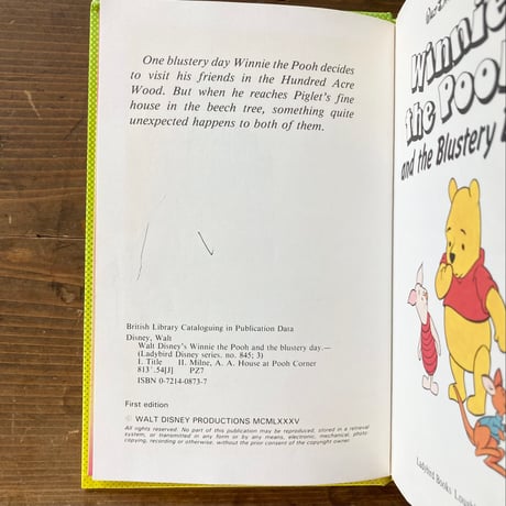Disney Winnie the Pooh and the Bluestery Day クマのプーさん