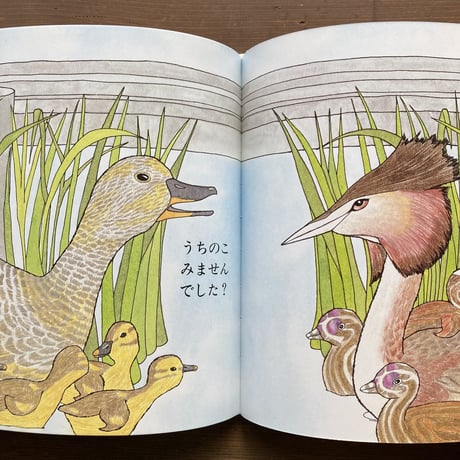 うちのこ みませんでした？／ナンシー･タフリ