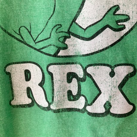 Disney TOY STORY REX  トイストーリー レックス S/S Tee