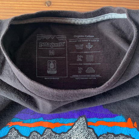 patagonia  BACK FOR GOOD BEAR S/S  パタゴニア オーガニックコットン 熊 ベアー VINTAGE