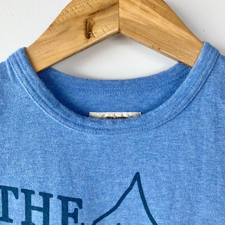 THE NORTH FACE ノースフェイス VINTAGE LOGO S/S Tee／ブルー