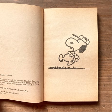 PEANUTS BOOK [YOUR CHOICE,SNOOPY] ヴィンテージ ピーナッツコミック ペーパーバック／CHARLES M. SCHULZ