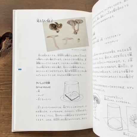 ピーターラビットの自然観察／ビアトリクス・ポター画