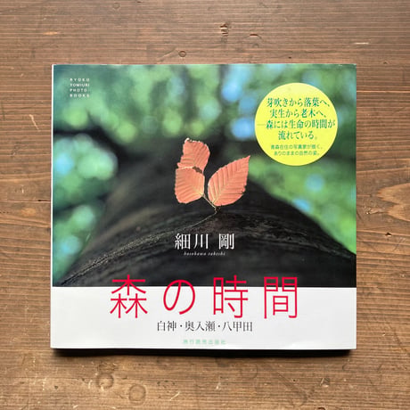 森の時間 白神・奥入瀬・八甲田／細川剛