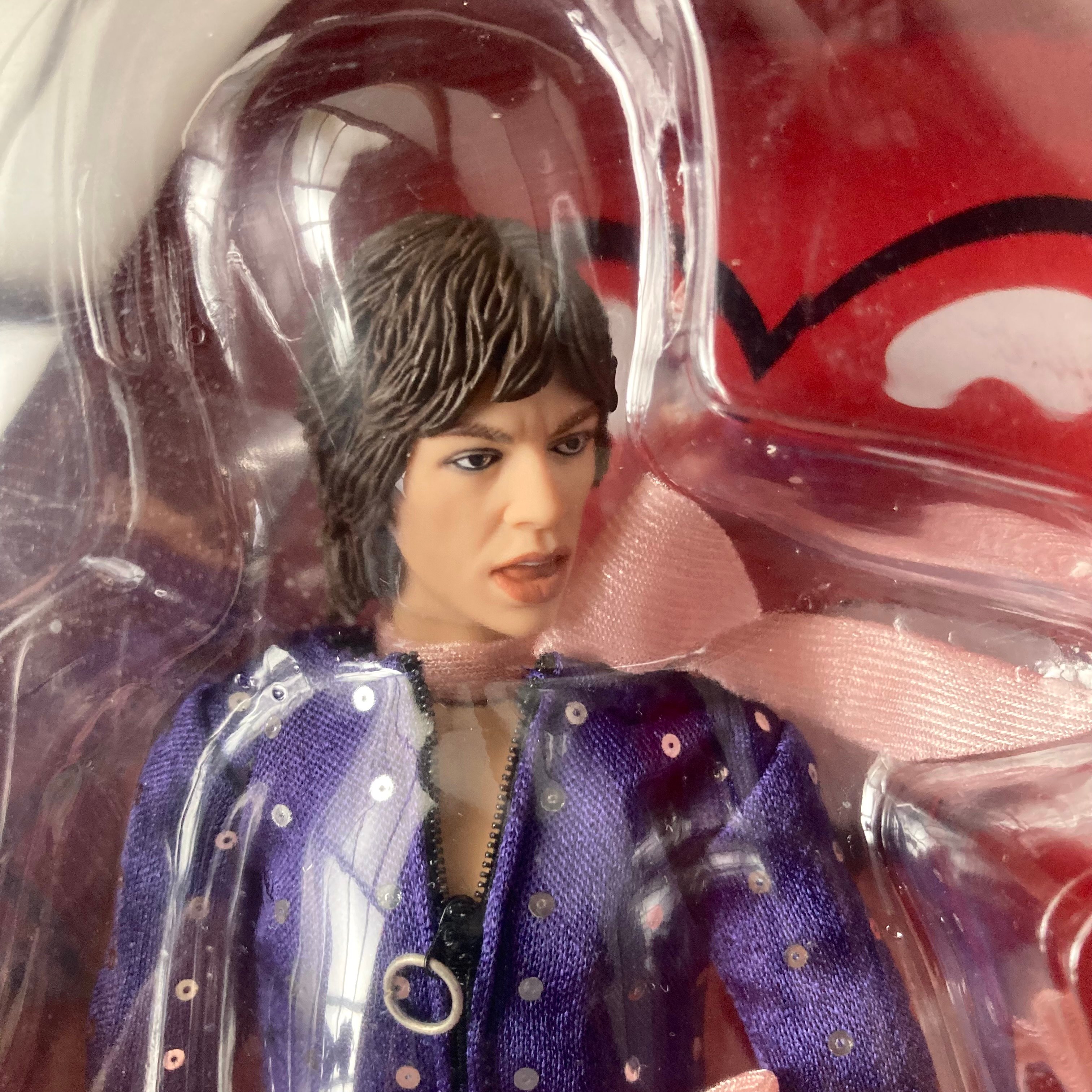 The Rolling Stones Mick Jagger ローリングストーンズ ミック・ジ