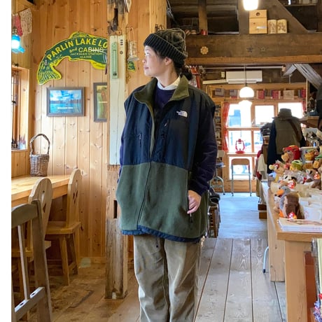 THE NORTH FACE 1990s DENALI VEST ノースフェイス デナリベスト 極美品 1990年代 vintage