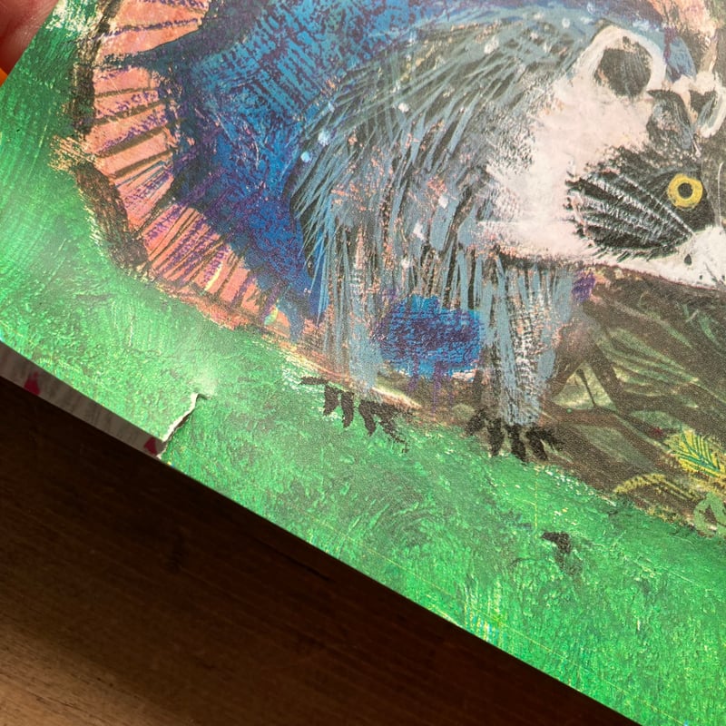 大幅値下げ 希少プレミア 絵本 いぬとかりゅうど ブライアン