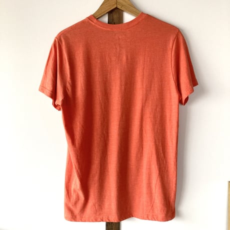 THE NORTH FACE S/S TEE 1990s