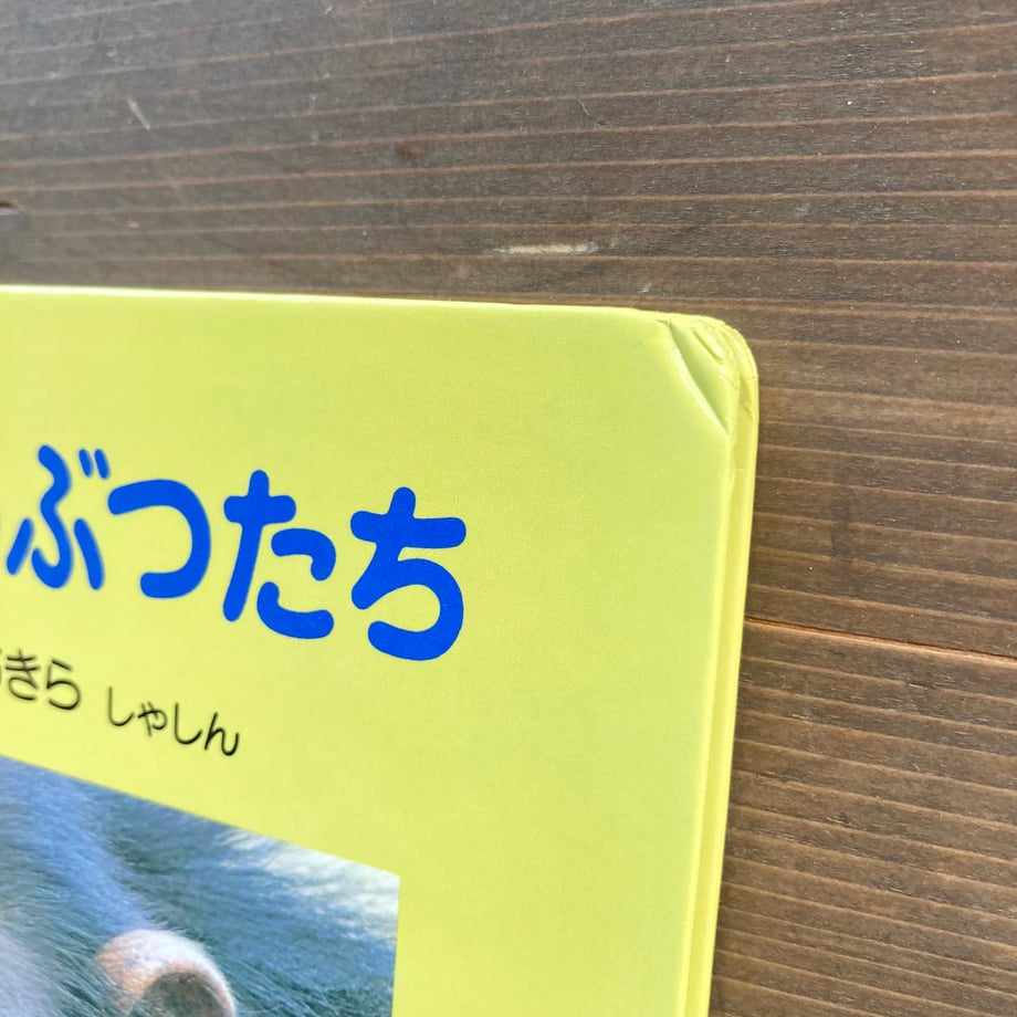 6856333d51c85ca8bacc6b11