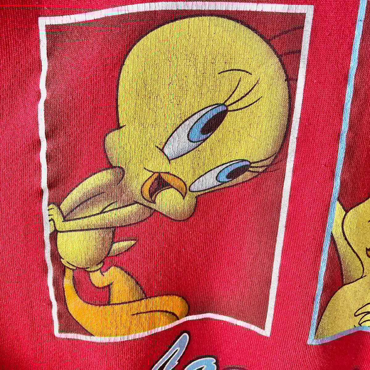 90s ルーニーテューンズ TWEETY スウェット タグ付 USA LOONEY TUNES TWEETY ルーニー・テューンズ トゥイーティー
