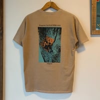 patagonia S/S S Preserve Vertical Wilderness クライミング パタゴニア VINTAGE