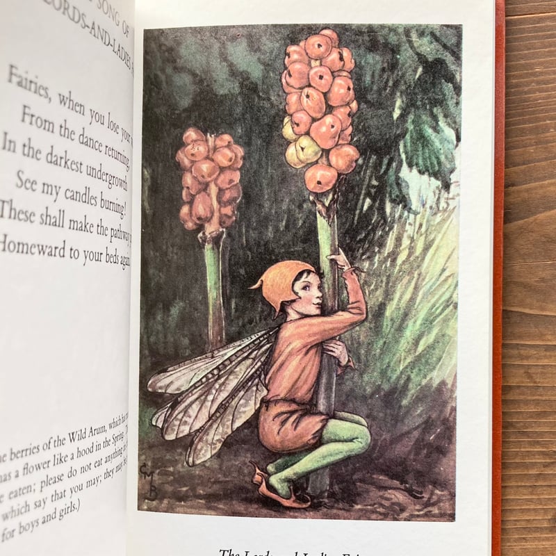 FLOWER FAIRIES OF THE AUTUMN/Cicely Mary Barker FLOWER FAIRIES OF THE AUTUMN/Cicely Mary Barker