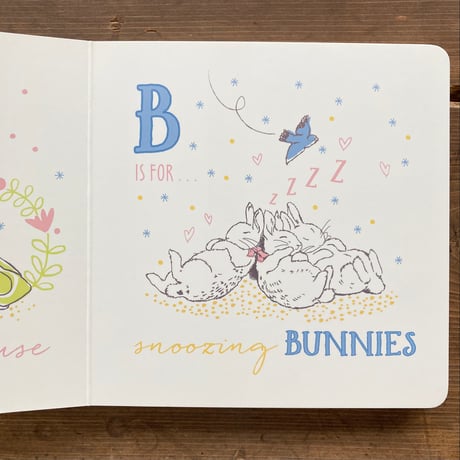 PETER RABBIT ピーターラビット P IS FOR PETER AN ABC BOOK