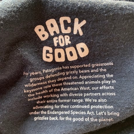 patagonia  BACK FOR GOOD BEAR L/S パタゴニア 熊 ベアー VINTAGE