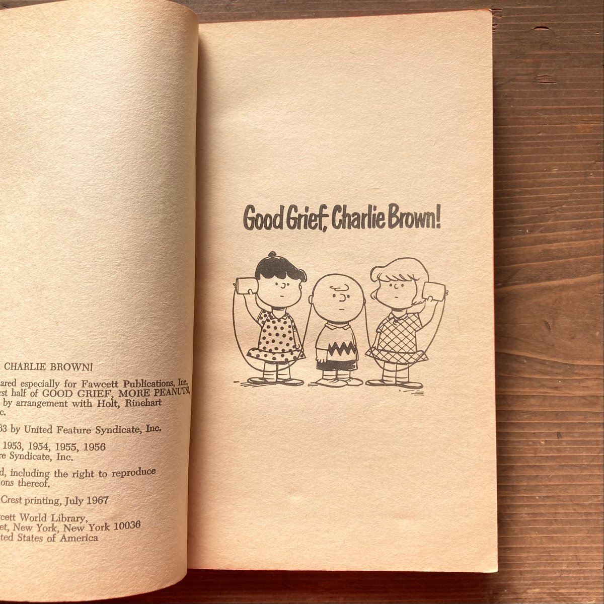PEANUTS BOOK [GOOD GRIEF,CHARLIE BROWN!] ヴィンテージ