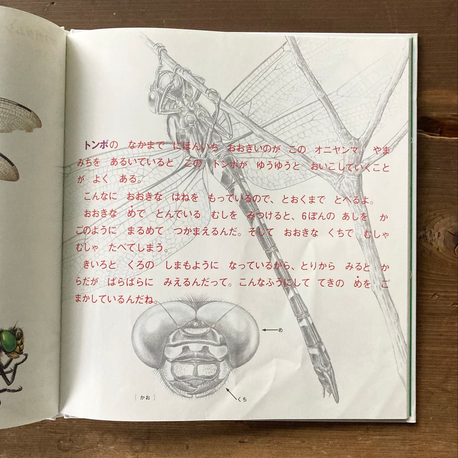 6857af5442133ee3bfeca9ca