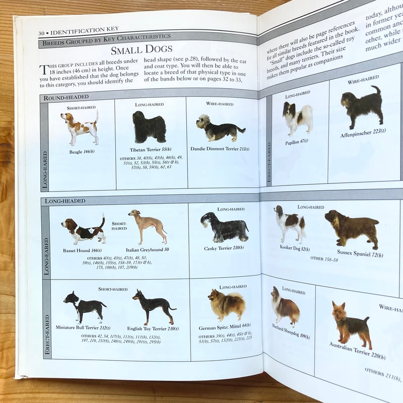 HOUND DOG パンフレット 12冊セット HOUND DOG パンフレット 12冊セット 2026年最新】Yahoo!オークション
