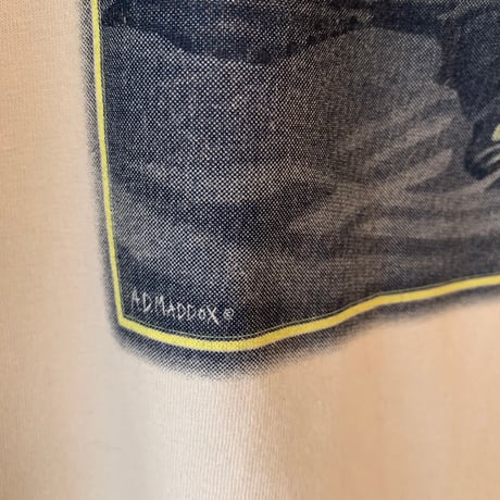 patagonia WORLD TROUT AD MADDOX 2 S/S TEE パタゴニア ワールドトラウト VINTAGE