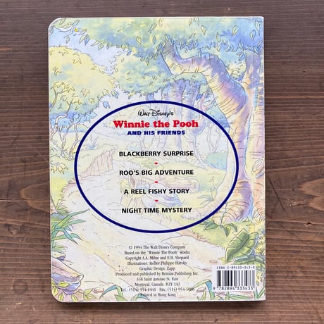 Walt Disney's Winnie the Pooh AND HIS FRIENDS ROO'S BIG ADVENTURE