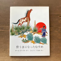 野うまになったむすめ／ポール・ゴーブル