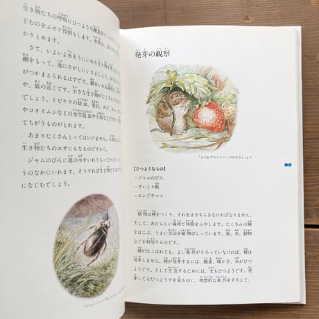 ピーターラビットの自然観察／ビアトリクス・ポター画