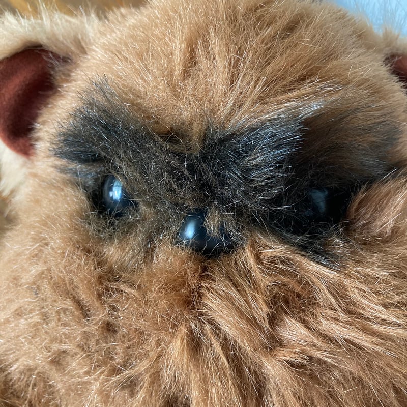 Wicket the Ewok -STAR WARS- イウォーク ぬいぐるみ KENNER