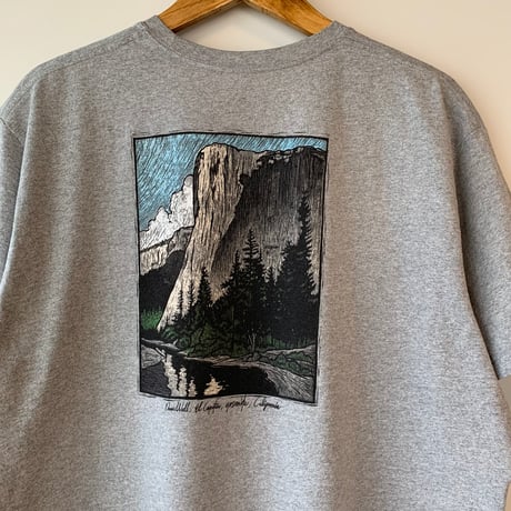 patagonia YOSEMITE S/S TEE Down Woll,El Capitan,Yosemite,California パタゴニア VINTAGE