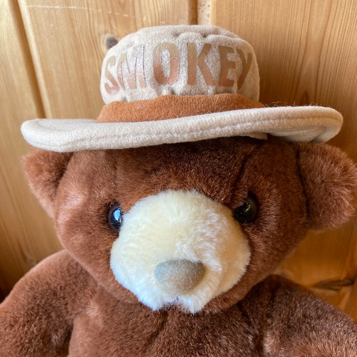 ヴィンテージ品‼️70s Smokey Bear/スモーキーベア貯金箱 アメリカン レトロ コインバンク 鋳鉄 キャストアイアン