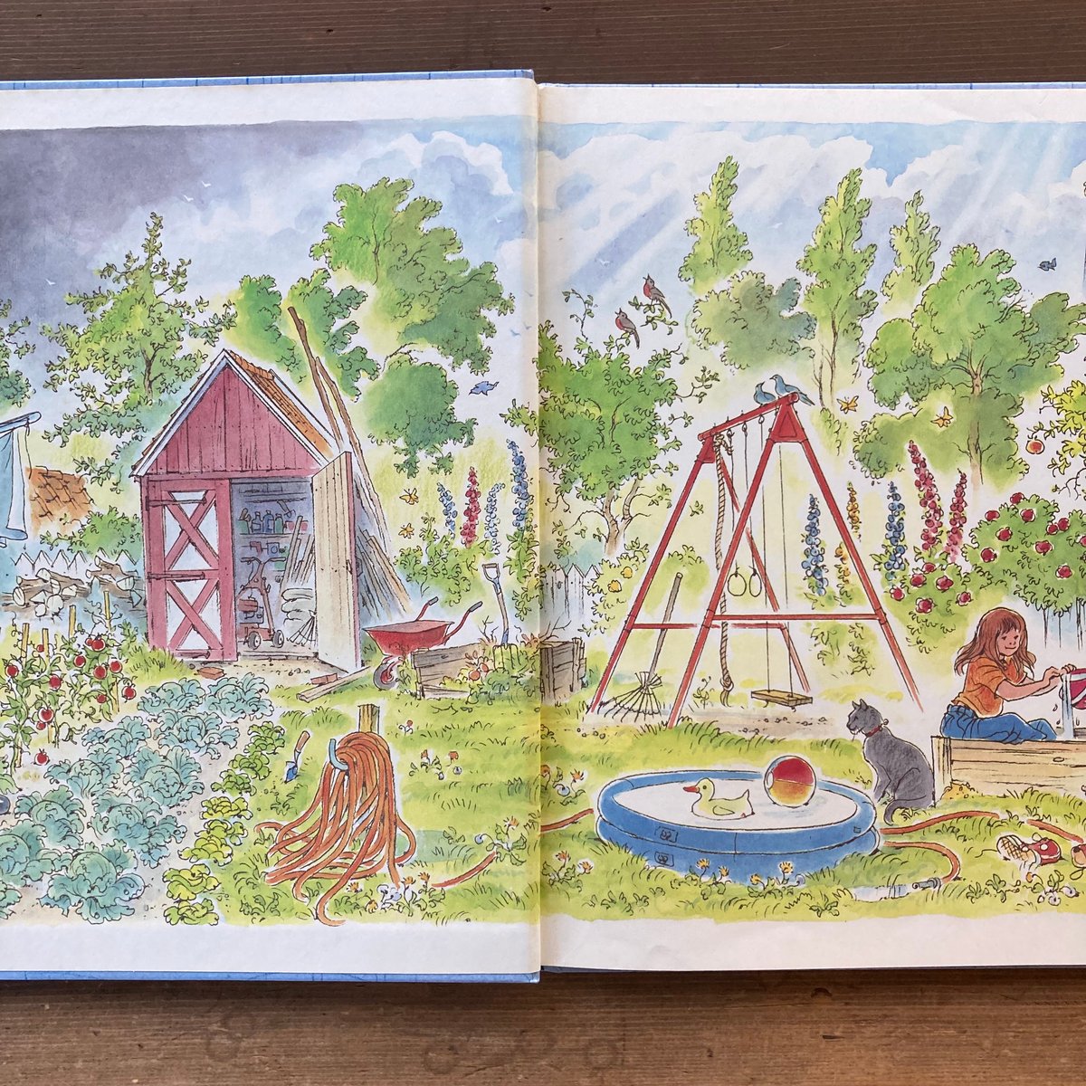 雨、あめ／ピーター・スピアー | MILMOUNTAIN STORE