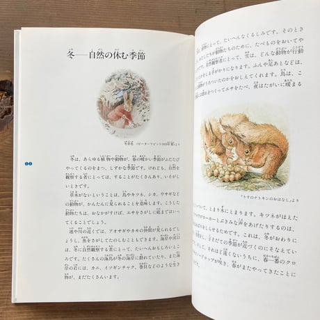 ピーターラビットの自然観察／ビアトリクス・ポター画