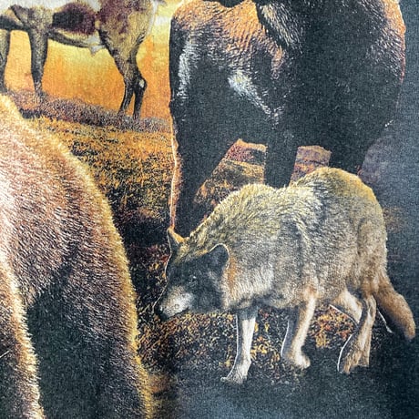 ALASKA BEAR MOOSE ベア ヘラジカ アニマル柄 動物柄 スウェット