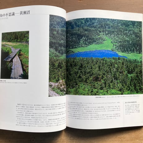 森羅万象 フォトエッセー 八甲田・十和田に生きる／久末正明