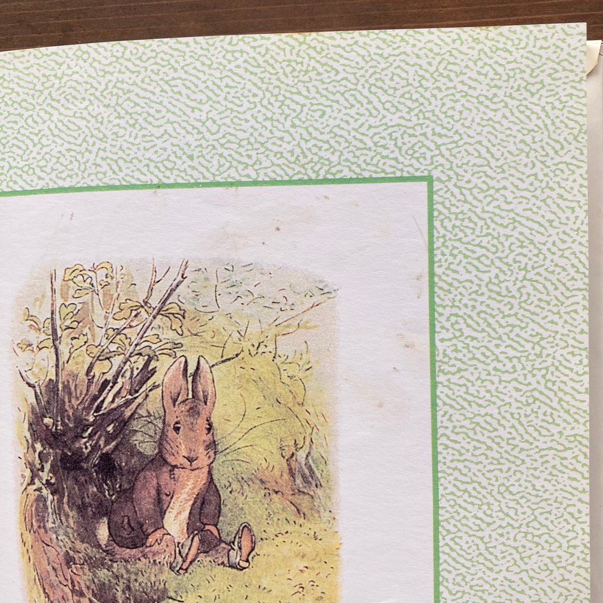 PETER RABBIT ピーターラビット THE TALE OF BENJAMIN BUNN