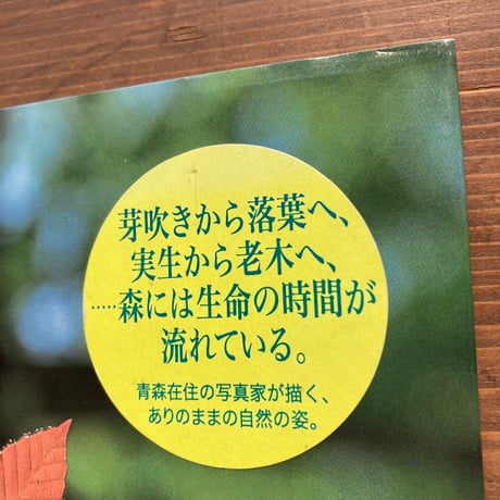 森の時間 白神・奥入瀬・八甲田／細川剛