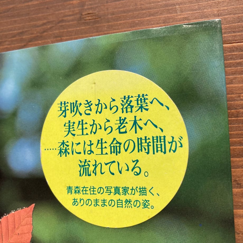 68140ccc69abcc2f0b8264ae