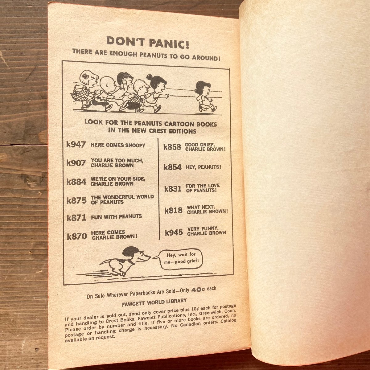 PEANUTS BOOK [GOOD GRIEF,CHARLIE BROWN!] ヴィンテージ