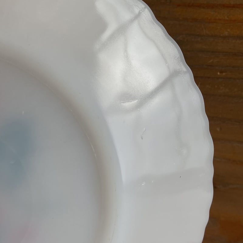 TERMOCRISA ヒイラギ柄 クリスマス デザートプレート／A | MILMOUNTAIN