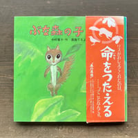 ぶな森の子／今村葦子　遠藤てるよ