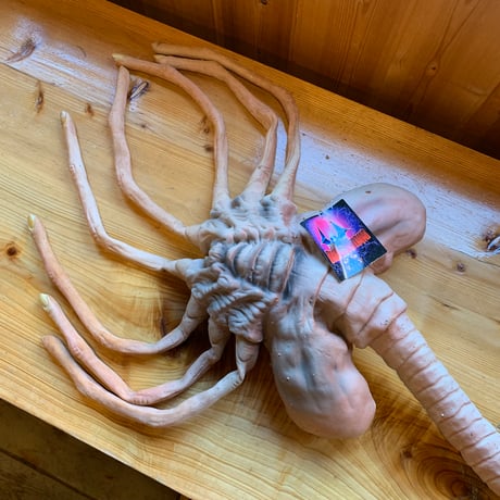 ALIEN FACE HUGGER made in AMERICA DISTORTIONS UNLIMITED CORP. エイリアン 幼体 フェイスハガー 1992 vintage