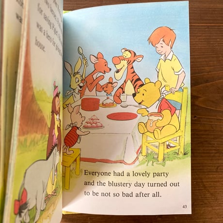 Disney Winnie the Pooh and the Bluestery Day クマのプーさん