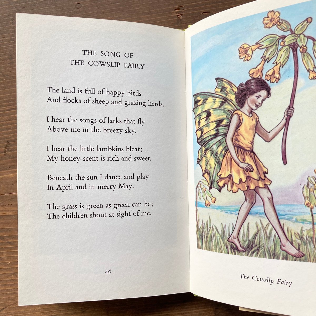 FLOWER FAIRIES OF THE SPRING／Cicely Mary Barker