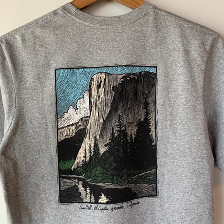 patagonia S/S XS YOSEMITE Down Woll,El Capitan,Yosemite,California パタゴニア VINTAGE
