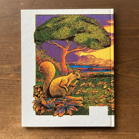THE STOLEN MEALIES／Lesley Whitwell　Mario Sickle