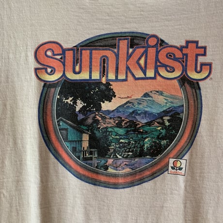 Sunkist Hanes S/S TEE U.S.A.1970～1980s