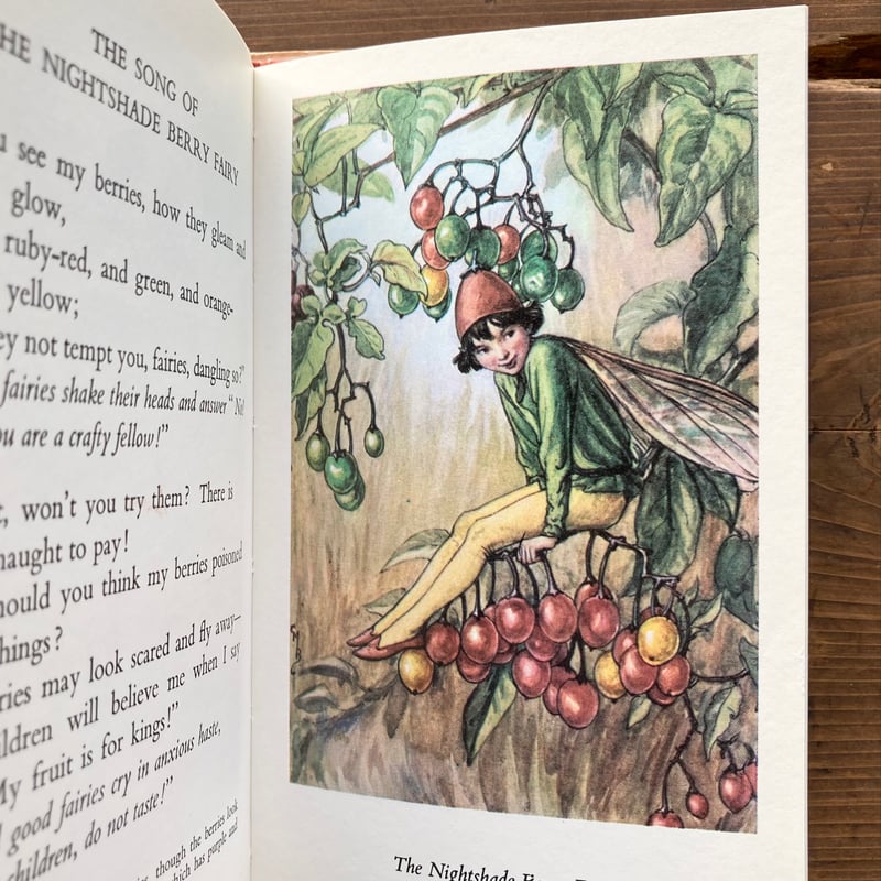 FLOWER FAIRIES OF THE AUTUMN/Cicely Mary Barker FLOWER FAIRIES OF THE AUTUMN/Cicely Mary Barker