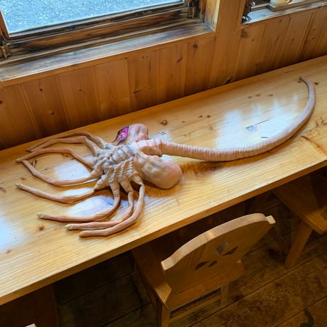 ALIEN FACE HUGGER made in AMERICA DISTORTIONS UNLIMITED CORP. エイリアン 幼体 フェイスハガー 1992 vintage