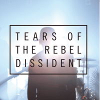 DISSIDENT (Album)